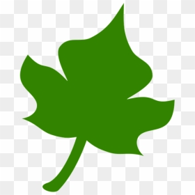 Yaprak Icon Png, Transparent Png - ivy leaf png