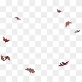 Flying Leaves Png - Autumn Leaves Falling Png, Transparent Png - flying leaves png