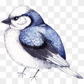 Watercolor Painting, HD Png Download - aves png