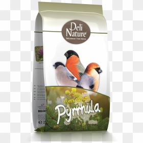 Deli Nature, HD Png Download - aves png