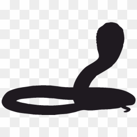 Snake Silhouette Reptile King Cobra Stencil - Cobra Silhouette Png, Transparent Png - black mamba png