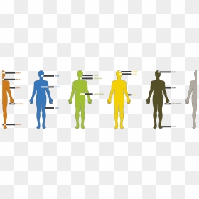 Scale Of Human Desire , Png Download - Human Scale, Transparent Png - human scale png