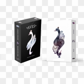 Aves Png, Transparent Png - aves png