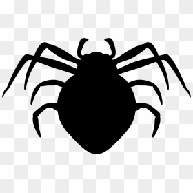Spider Arthropod Animal Silhouette - Spider, HD Png Download - spider silhouette png