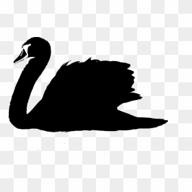 #sticker #silhouette #swan #freetoedit - Vector Swan Png, Transparent Png - swan silhouette png