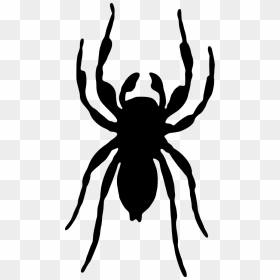 Spider Silhouette , Png Download - Clip Art, Transparent Png - spider silhouette png