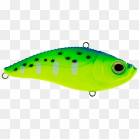 Pomacentridae, HD Png Download - fishing lure png