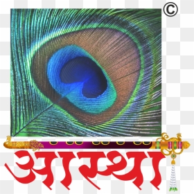 Aastha Vedic Sansthan - Peafowl, HD Png Download - holy water png