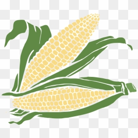 Transparent Background Corn Clipart, HD Png Download - corn plant png