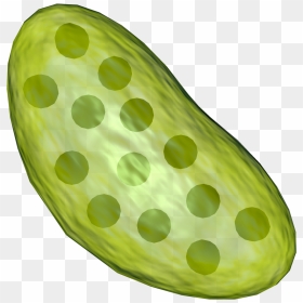 Transparent Image Of Chloroplast , Png Download - Full Picture Of Chloroplast, Png Download - chloroplast png