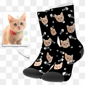 Transparent Cat Girl Png - Custom Cat Socks, Png Download - cat girl png