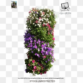 Please Follow The Rules In Our Journal Download For - Portable Network Graphics, HD Png Download - petunia png