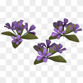 Thumb Image - Periwinkle, HD Png Download - petunia png