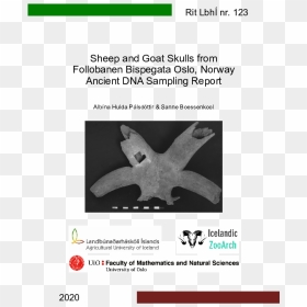 Screenshot, HD Png Download - goat skull png
