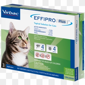 Effipro Plus, HD Png Download - cat ear png