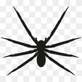 Insects Set [silhouette] Png - Insects Vector, Transparent Png - spider silhouette png