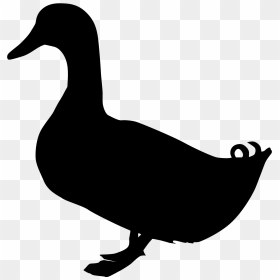 Silhouette Goose, HD Png Download - swan silhouette png