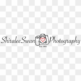 Shiralee Swan Photography, HD Png Download - swan silhouette png