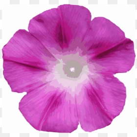 Morning Glory Cutout - Morning Glory Flowers Ala, HD Png Download - petunia png