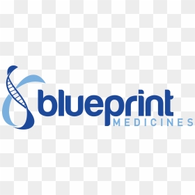 Blueprint Medicines Company Logo - Blueprint Medicines Logo, HD Png Download - blue print png