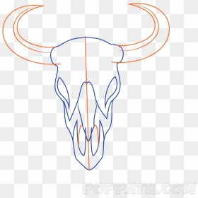 Long Horn Skull Drawing Step By Step, HD Png Download - goat skull png