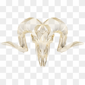 Argali, HD Png Download - goat skull png