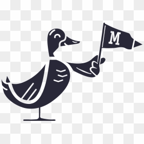 Duck, HD Png Download - swan silhouette png