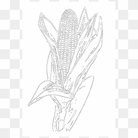 Outline Images Of Crop, HD Png Download - corn plant png