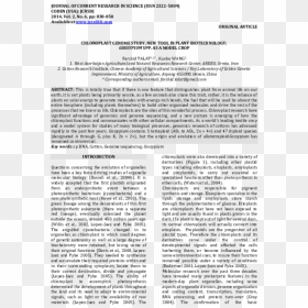 Document, HD Png Download - chloroplast png