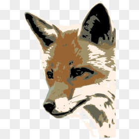 Foxface Dis - Fox Face, HD Png Download - fox face png