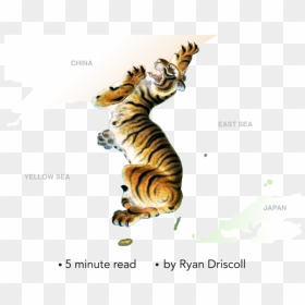 The Symbol Of The Tiger In Korean Culture"     Data - Korean Tiger Map, HD Png Download - tiger icon png