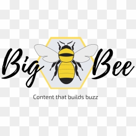 Big Bee Content Logo - Honeybee, HD Png Download - bee logo png