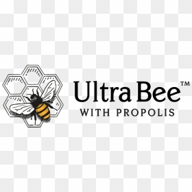 Ultrabee Logo, HD Png Download - bee logo png
