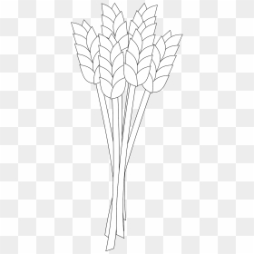 White Wheat Transparent, HD Png Download - corn plant png