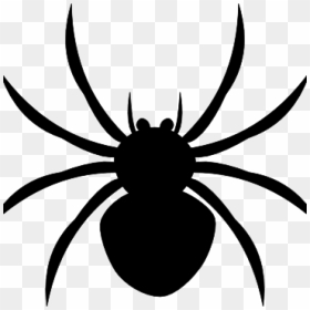 Big Spider Clipart - Spider Clipart Png, Transparent Png - spider clipart png