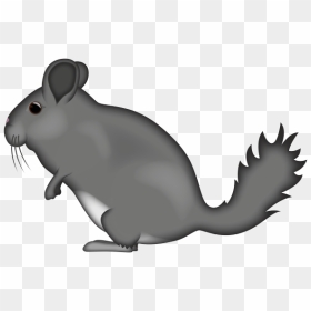 Mouse, HD Png Download - chinchilla png
