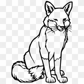 Red Fox Coloring Page, HD Png Download - fox face png