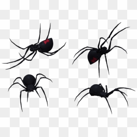 Black Widow Clipart Transparent - Draw Black Widow Spider, HD Png Download - spider clipart png