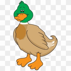 Farm Animals Clipart Duck, HD Png Download - sunset clipart png