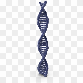 Dna - H03 - 2k, HD Png Download - 2k png