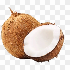 Coconut Each - Brown Coconut, HD Png Download - yuca png