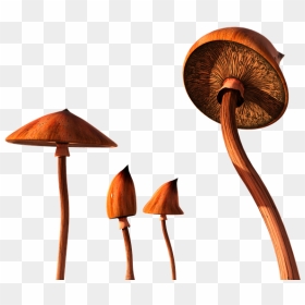 Agaricaceae, HD Png Download - shrooms png