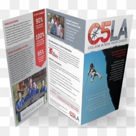 Flyer, HD Png Download - flyer model png