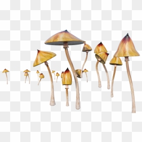 Lamp, HD Png Download - shrooms png