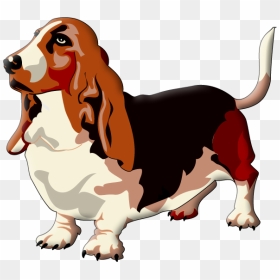Transparent Dog Beagle Puppy Paw Clipart For Activities - Basset Hound, HD Png Download - puppy paw png