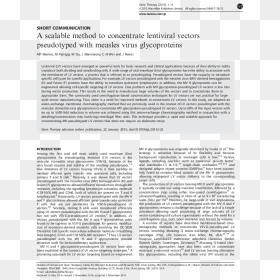 Essay Article Blood Cancer, HD Png Download - celular vector png