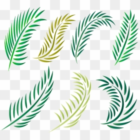 Palm Trees, HD Png Download - palm leaf vector png