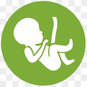Gynaecology & Obstetrics Icon , Png Download - Gynaecology And Obstetrics Symbol, Transparent Png - obs icon png
