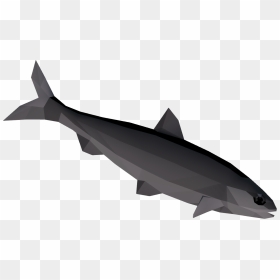 Burnt Tarpon Is Made By Accidentally Burning Raw Tarpon - Wide Sawfish, HD Png Download - burnt edges png