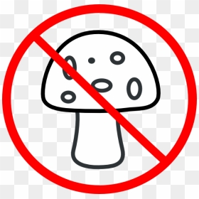Say No To Mushrooms, HD Png Download - shrooms png